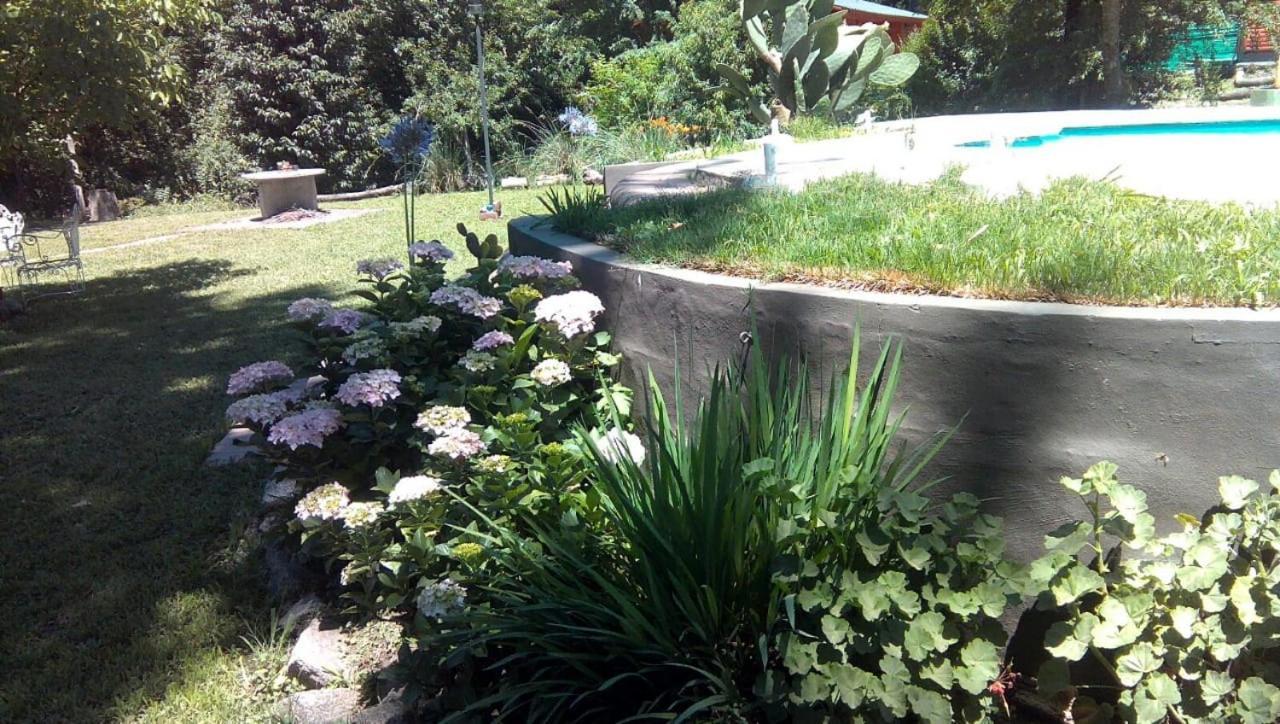 Cabanas Los Platanos Ла Гранха Екстериор снимка
