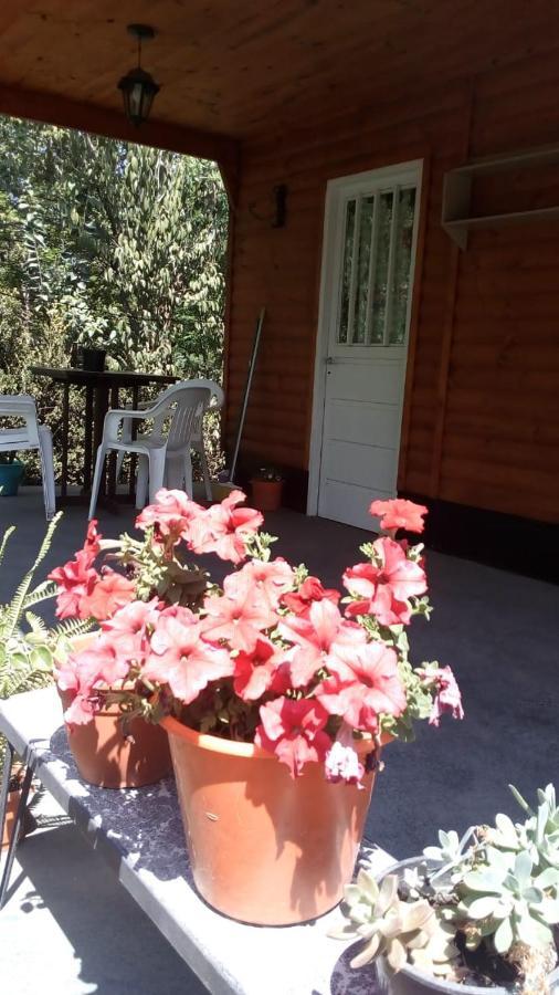 Cabanas Los Platanos Ла Гранха Екстериор снимка