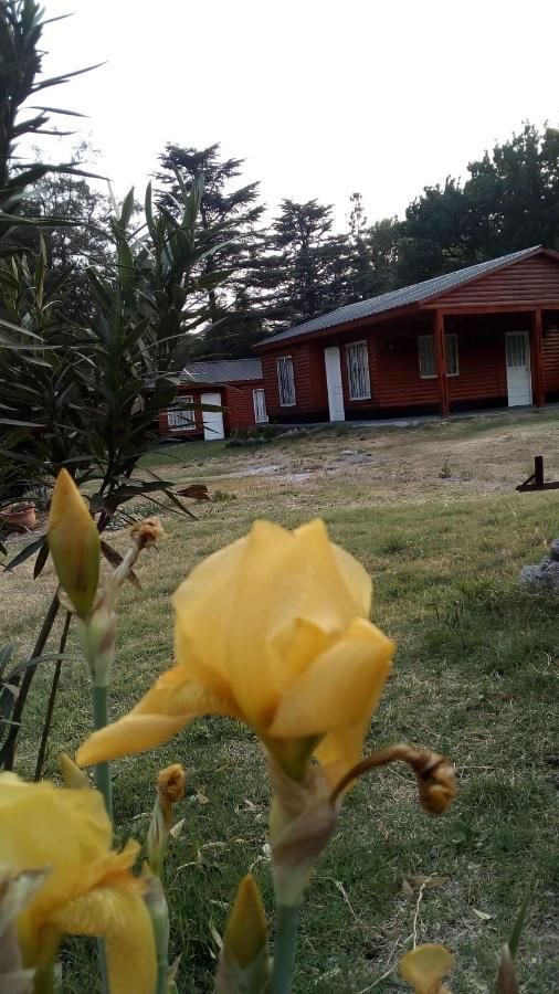 Cabanas Los Platanos Ла Гранха Екстериор снимка